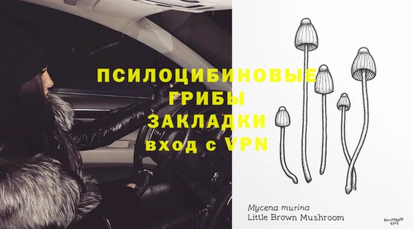 первитин Кукмор