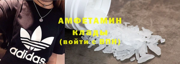 индика Кулебаки