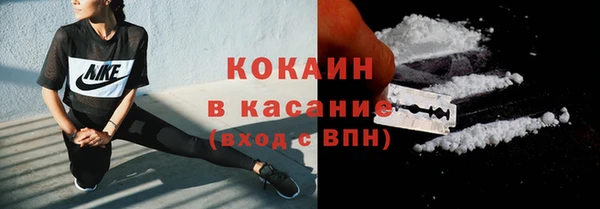 индика Кулебаки