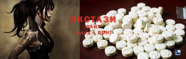 индика Кулебаки