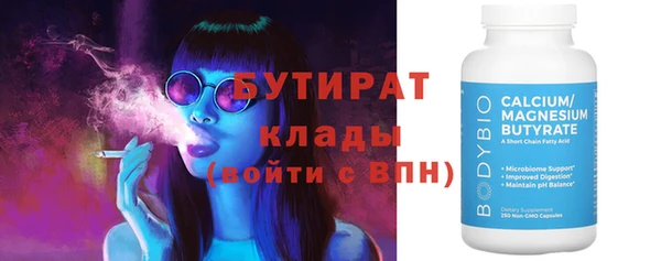 индика Кулебаки