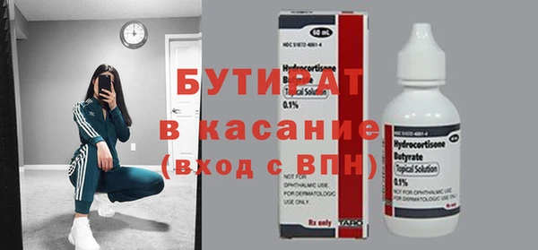 индика Кулебаки