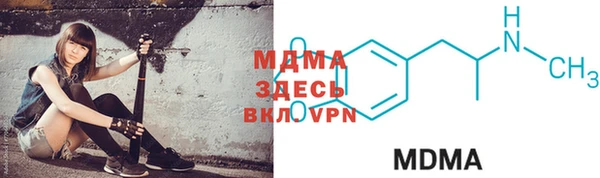 индика Кулебаки
