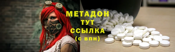 индика Кулебаки