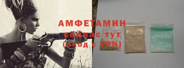 индика Кулебаки