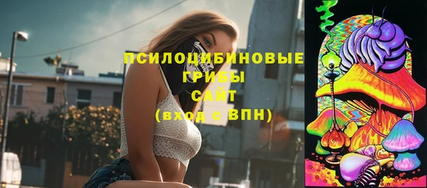 индика Кулебаки