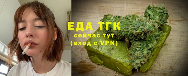 индика Кулебаки